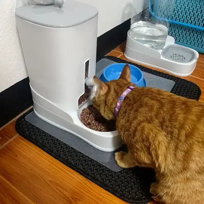 แมวกำลังกินอาหารจากเครื่องให้อาหารอัตโนมัติที่วางบนแผ่นกันมด